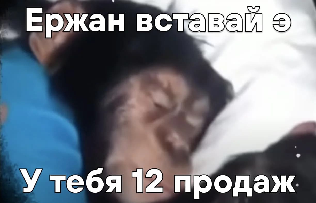 Курс по VC: почему провалилось масштабирование