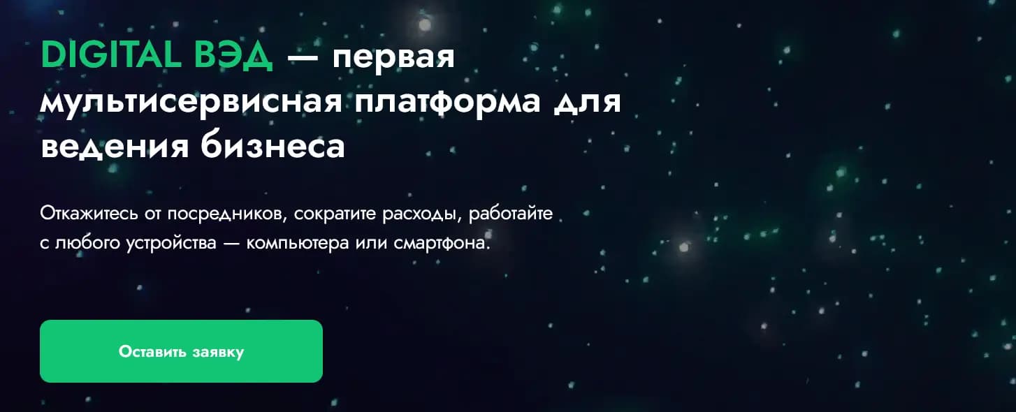 Сложный сервис Digital ВЭД специалисты компании описали в пару предложений. Из них можно вычленить главное, а подробности узнать на следующих экранах